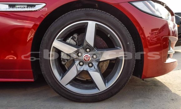 Buy Import Jaguar XE Red Car in Import - Dubai in Central Buy Import Jaguar XE Red Car in Import - Dubai in Central