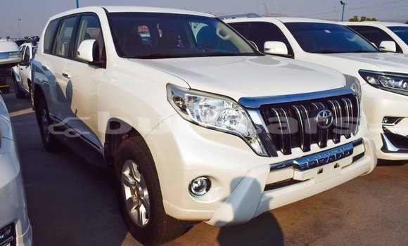 Buy Import Toyota Prado White Car in Import - Dubai in Central Buy Import Toyota Prado White Car in Import - Dubai in Central