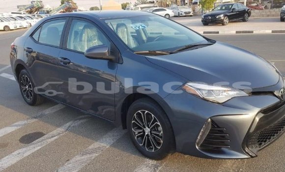 Buy Import Toyota Corolla Grey Car in Import - Dubai in Central Buy Import Toyota Corolla Grey Car in Import - Dubai in Central