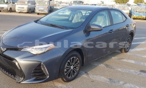 Buy Import Toyota Corolla Grey Car in Import - Dubai in Central Buy Import Toyota Corolla Grey Car in Import - Dubai in Central