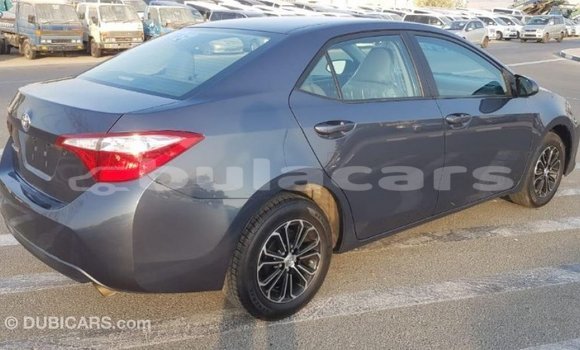 Buy Import Toyota Corolla Grey Car in Import - Dubai in Central Buy Import Toyota Corolla Grey Car in Import - Dubai in Central