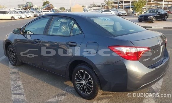 Buy Import Toyota Corolla Grey Car in Import - Dubai in Central Buy Import Toyota Corolla Grey Car in Import - Dubai in Central