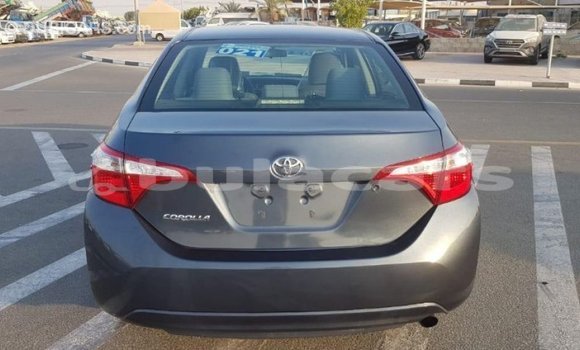 Buy Import Toyota Corolla Grey Car in Import - Dubai in Central Buy Import Toyota Corolla Grey Car in Import - Dubai in Central