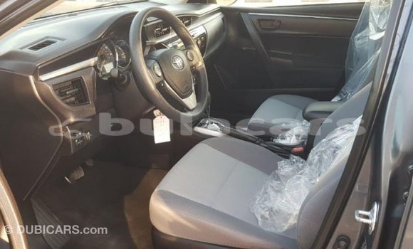 Buy Import Toyota Corolla Grey Car in Import - Dubai in Central Buy Import Toyota Corolla Grey Car in Import - Dubai in Central