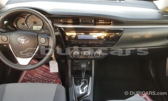 Buy Import Toyota Corolla Grey Car in Import - Dubai in Central Buy Import Toyota Corolla Grey Car in Import - Dubai in Central