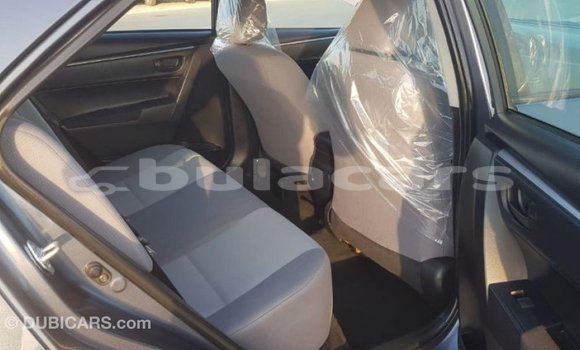 Buy Import Toyota Corolla Grey Car in Import - Dubai in Central Buy Import Toyota Corolla Grey Car in Import - Dubai in Central