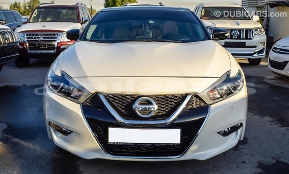 Buy Import Nissan Maxima White Car in Import - Dubai in Central Buy Import Nissan Maxima White Car in Import - Dubai in Central