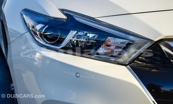 Buy Import Nissan Maxima White Car in Import - Dubai in Central Buy Import Nissan Maxima White Car in Import - Dubai in Central