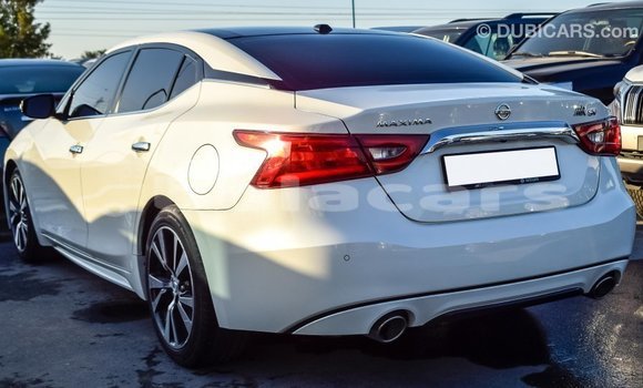 Buy Import Nissan Maxima White Car in Import - Dubai in Central Buy Import Nissan Maxima White Car in Import - Dubai in Central