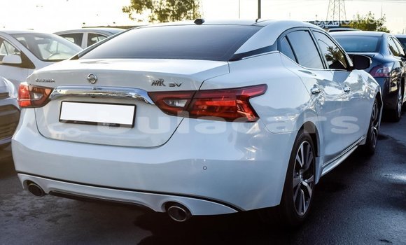 Buy Import Nissan Maxima White Car in Import - Dubai in Central Buy Import Nissan Maxima White Car in Import - Dubai in Central
