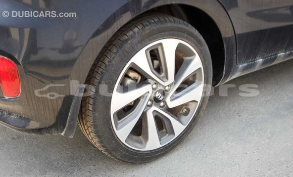 Buy Import Kia Rio Black Car in Import - Dubai in Central Buy Import Kia Rio Black Car in Import - Dubai in Central
