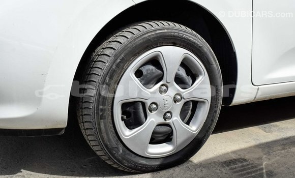 Buy Import Kia Picanto White Car in Import - Dubai in Central Buy Import Kia Picanto White Car in Import - Dubai in Central