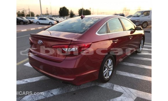 Buy Import Hyundai Sonata Red Car in Import - Dubai in Central Buy Import Hyundai Sonata Red Car in Import - Dubai in Central