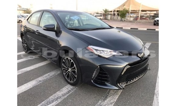 Buy Import Toyota Corolla Grey Car in Import - Dubai in Central Buy Import Toyota Corolla Grey Car in Import - Dubai in Central