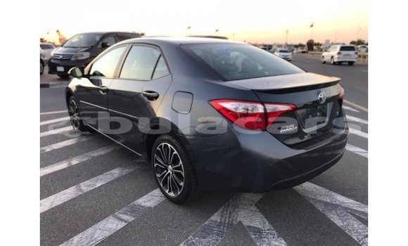 Buy Import Toyota Corolla Grey Car in Import - Dubai in Central Buy Import Toyota Corolla Grey Car in Import - Dubai in Central