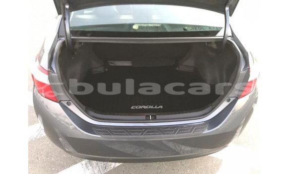 Buy Import Toyota Corolla Grey Car in Import - Dubai in Central Buy Import Toyota Corolla Grey Car in Import - Dubai in Central