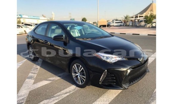 Buy Import Toyota Corolla Black Car in Import - Dubai in Central Buy Import Toyota Corolla Black Car in Import - Dubai in Central