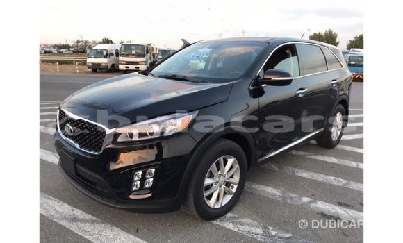 Buy Import Kia Sorento Black Car in Import - Dubai in Central Buy Import Kia Sorento Black Car in Import - Dubai in Central
