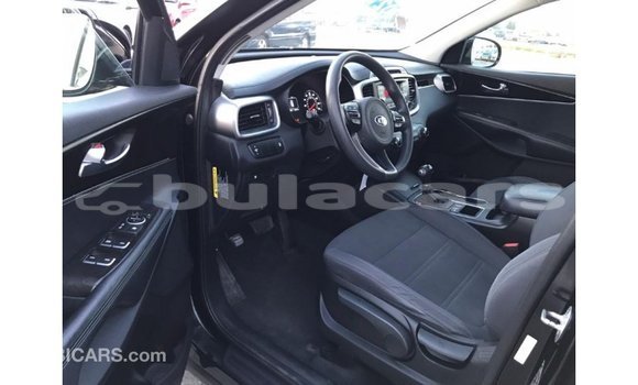 Buy Import Kia Sorento Black Car in Import - Dubai in Central Buy Import Kia Sorento Black Car in Import - Dubai in Central