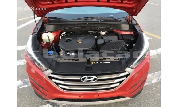 Buy Import Hyundai Tucson Red Car in Import - Dubai in Central Buy Import Hyundai Tucson Red Car in Import - Dubai in Central