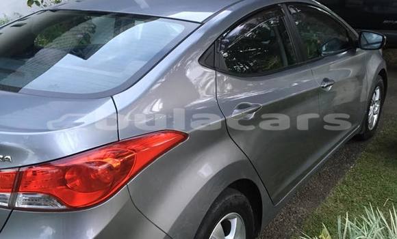 Buy Used Hyundai Elantra Other Car in Tavua in Western