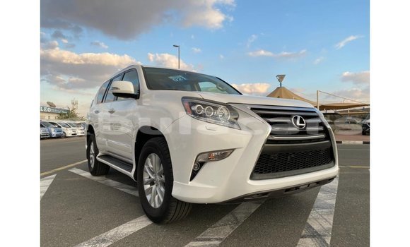 Buy Import Lexus GX White Car in Import - Dubai in Central Buy Import Lexus GX White Car in Import - Dubai in Central