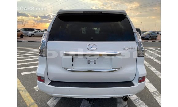 Buy Import Lexus GX White Car in Import - Dubai in Central Buy Import Lexus GX White Car in Import - Dubai in Central