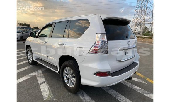 Buy Import Lexus GX White Car in Import - Dubai in Central Buy Import Lexus GX White Car in Import - Dubai in Central