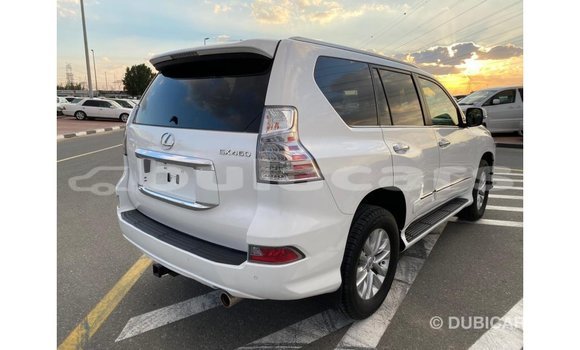 Buy Import Lexus GX White Car in Import - Dubai in Central Buy Import Lexus GX White Car in Import - Dubai in Central