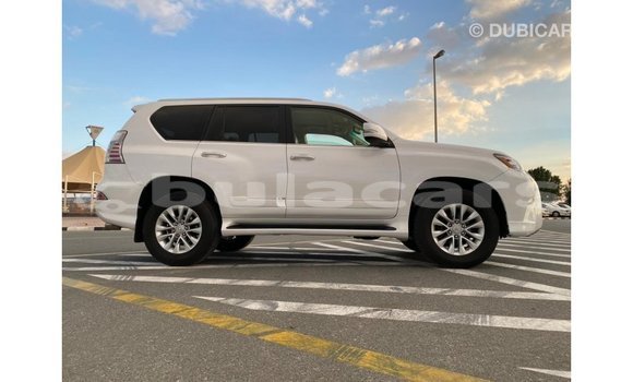 Buy Import Lexus GX White Car in Import - Dubai in Central Buy Import Lexus GX White Car in Import - Dubai in Central