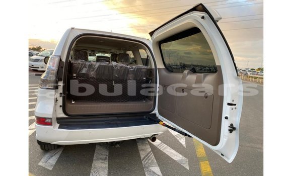 Buy Import Lexus GX White Car in Import - Dubai in Central Buy Import Lexus GX White Car in Import - Dubai in Central
