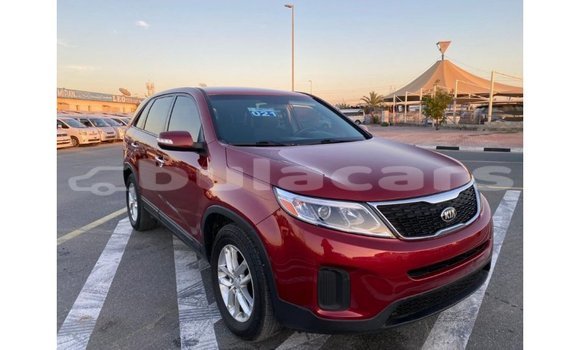 Buy Import Kia Sorento Red Car in Import - Dubai in Central Buy Import Kia Sorento Red Car in Import - Dubai in Central