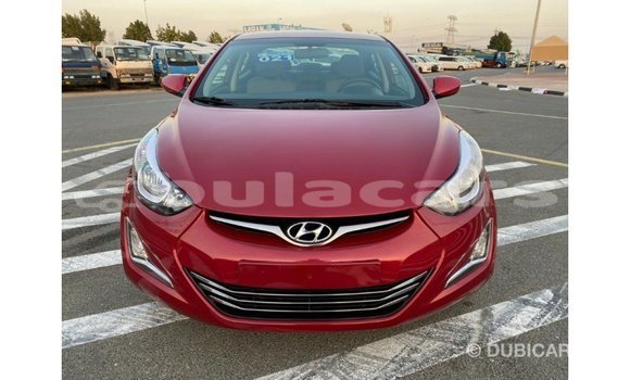 Buy Import Hyundai Elantra Red Car in Import - Dubai in Central Buy Import Hyundai Elantra Red Car in Import - Dubai in Central