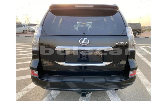 Buy Import Lexus GX Black Car in Import - Dubai in Central Buy Import Lexus GX Black Car in Import - Dubai in Central