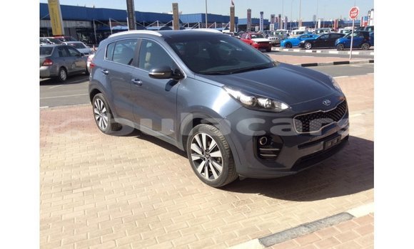 Buy Import Kia Sportage Blue Car in Import - Dubai in Central Buy Import Kia Sportage Blue Car in Import - Dubai in Central