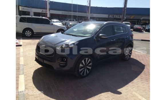Buy Import Kia Sportage Blue Car in Import - Dubai in Central Buy Import Kia Sportage Blue Car in Import - Dubai in Central