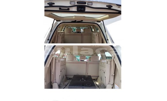 Buy Import Toyota Land Cruiser White Car in Import - Dubai in Central Buy Import Toyota Land Cruiser White Car in Import - Dubai in Central