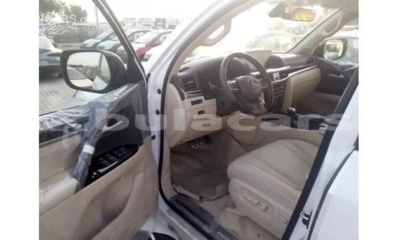 Buy Import Lexus LX White Car in Import - Dubai in Central Buy Import Lexus LX White Car in Import - Dubai in Central