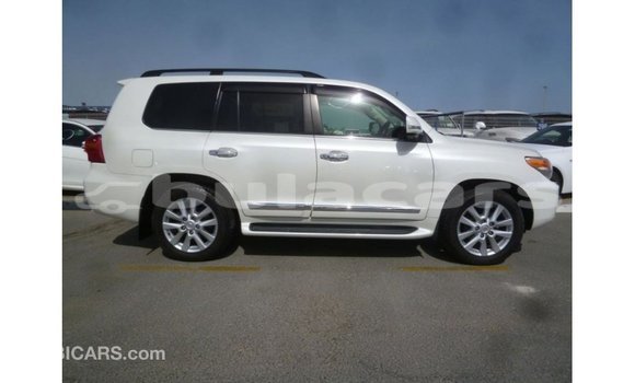 Buy Import Toyota Land Cruiser White Car in Import - Dubai in Central Buy Import Toyota Land Cruiser White Car in Import - Dubai in Central