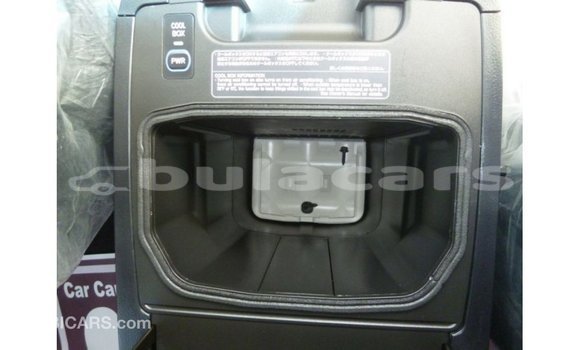 Buy Import Toyota Land Cruiser Grey Car in Import - Dubai in Central Buy Import Toyota Land Cruiser Grey Car in Import - Dubai in Central