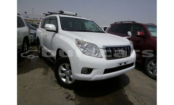 Buy Import Toyota Prado White Car in Import - Dubai in Central Buy Import Toyota Prado White Car in Import - Dubai in Central