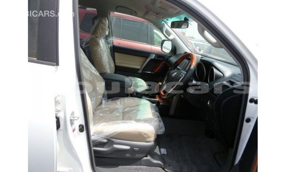 Buy Import Toyota Prado White Car in Import - Dubai in Central Buy Import Toyota Prado White Car in Import - Dubai in Central