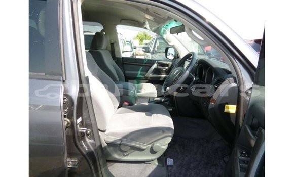 Buy Import Toyota Land Cruiser Grey Car in Import - Dubai in Central Buy Import Toyota Land Cruiser Grey Car in Import - Dubai in Central