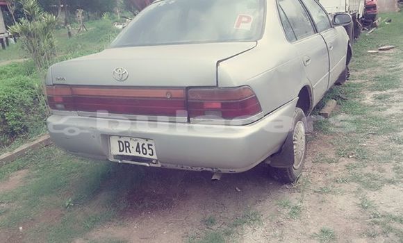Acheter Occasion Voiture Toyota Corolla Autre à Nadi, Western Acheter Occasion Voiture Toyota Corolla Autre à Nadi, Western