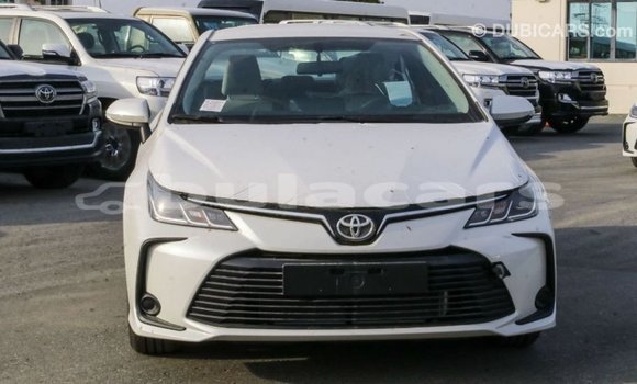 Buy Import Toyota Corolla White Car in Import - Dubai in Central Buy Import Toyota Corolla White Car in Import - Dubai in Central