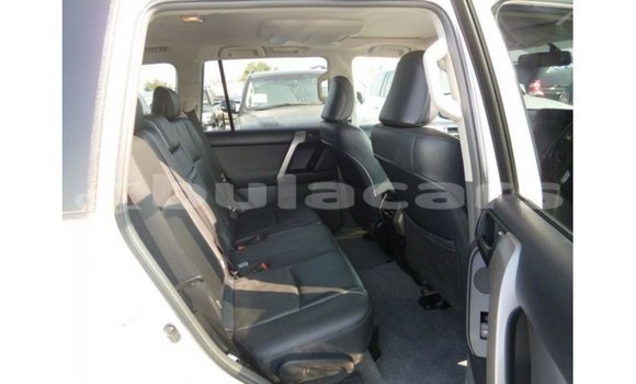 Buy Import Toyota Prado White Car in Import - Dubai in Central Buy Import Toyota Prado White Car in Import - Dubai in Central