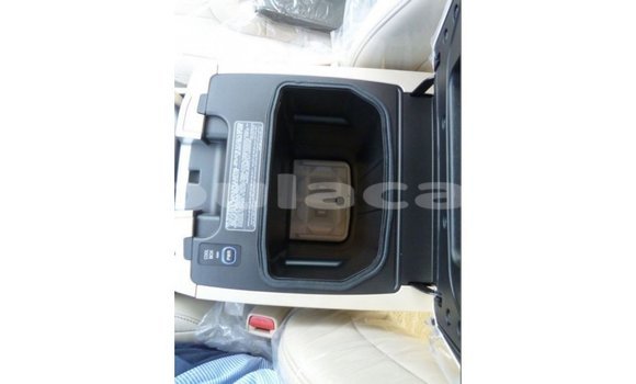 Acheter Import Voiture Toyota Land Cruiser Gris à Import - Dubai, Central Acheter Import Voiture Toyota Land Cruiser Gris à Import - Dubai, Central