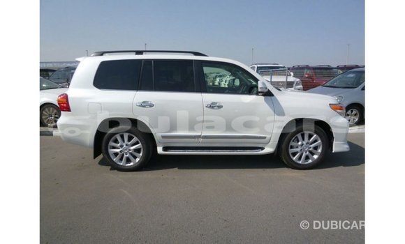 Buy Import Toyota Land Cruiser White Car in Import - Dubai in Central Buy Import Toyota Land Cruiser White Car in Import - Dubai in Central