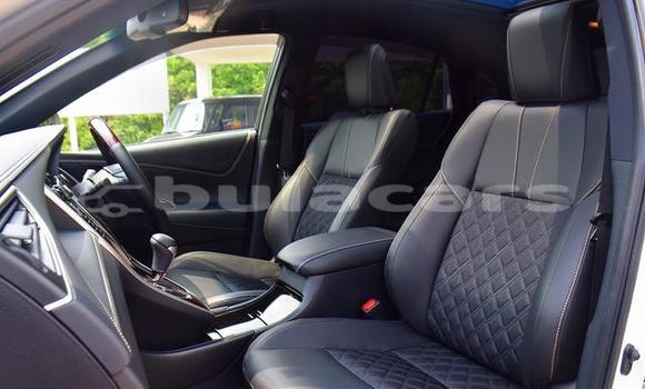 Buy Used Toyota Harrier Other Car in Lautoka in Western Buy Used Toyota Harrier Other Car in Lautoka in Western