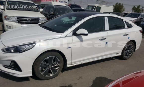 Buy Import Hyundai Sonata White Car in Import - Dubai in Central Buy Import Hyundai Sonata White Car in Import - Dubai in Central